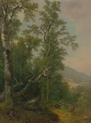 Studie von Bäumen