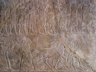 Orientalische Altertümer: Detail eines Basreliefs aus Kalkstein: die Musiker der Rüstung von Assurbanipal oder Ashurbanipal, König von Assyrien (Mesopotamien) (669 v. Chr.-627 v. Chr.). 640 v. Chr. Aus Ninive. Paris, Louvre Museum