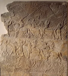 Kampfszene. Flachrelief aus dem Palast von Assurbanipal, Assyrien (7. Jahrhundert v. Chr.). Paris, Louvre Museum