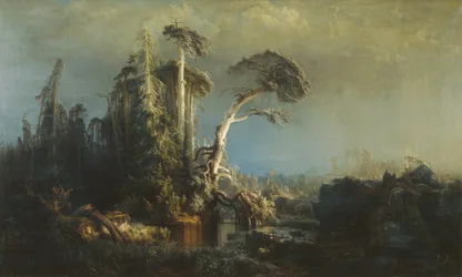 Sterbender Urwald bei rauem Wetter (nach dem Sturm)