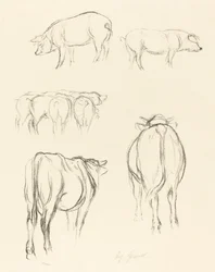 Tierskizzen