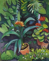 Blumen im Garten, Clivia und Pelargonien