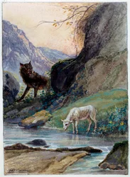 Illustration der Fabel „Der Wolf und das Lamm“ von Jean de La Fontaine