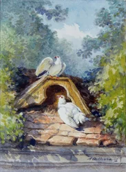 Die zwei Aquarelltauben von Auguste Delierre für die Fabel von Jean de la Fontaine (19. Jahrhundert). Chateau Thierry. La Fontaine Museum