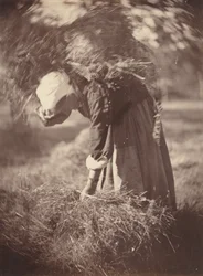 Bauer, ca. 1870