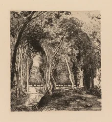Auguste Lepère: Unterholz, bei La Rigonette (Vendée)