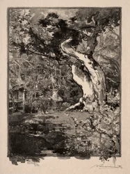 Der Clovis, Plateau de Bellecroix