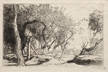 Der verdrehte Baum, 1915