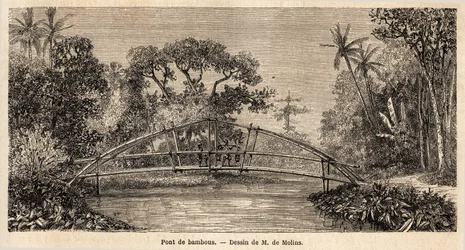 Eine Bambusbrücke im Dschungel, nahe dem Salak-Berg. Zeichnung von M. de Molins, zur Illustration seiner Reise nach Java