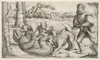Eine Bärenjagd, 1569