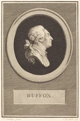 Buffon