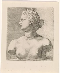 Büste der Venus de