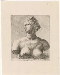 Büste der Venus de