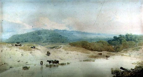 Ansicht in Yorkshire, Fluss und Vieh