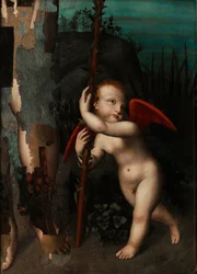 Amor mit einer Myrte, vor 1593