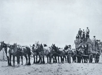 Wolltransportteam, Westaustralien, um 1900, aus 