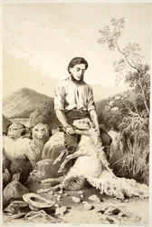 Schafschur, aus Die Geschichte von Australasien von David Blair, McGrady, Thomson und Niven, 1879