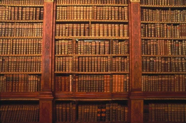 Bücherregal