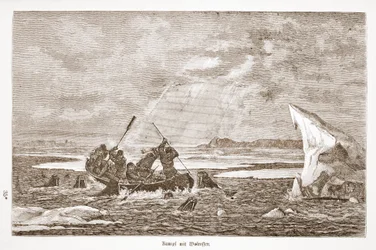 Kampf mit Walross, 1876