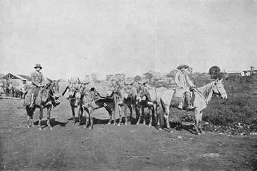 Negociantes do Interior, 1895