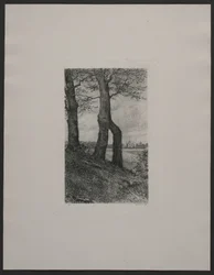 Egnen ved Fredensborg