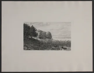 Ved Esrum sø