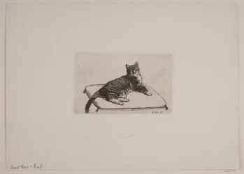 Liegende Katze