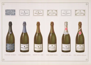 Arten von Champagner und Schaumwein