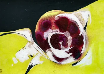 Schlammschnecke