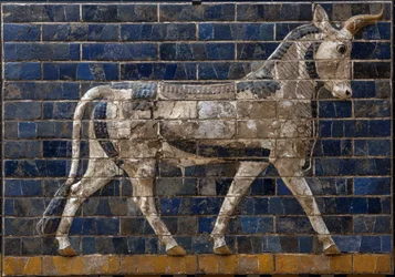 Heiliger Stier - Emailziegelreliefs vom Ischtar-Tor - Babylon - 604-562 v. Chr. - Nabuchadnezzar-Periode. Archäologisches Museum Istanbul - Ein Stier, Detail von glasierten Ziegeln, die mythologische Tiere darstellen, die den Prozessionsweg zum Ischtar-Tor
