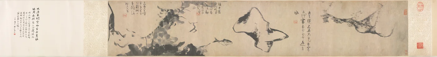 Fische und Felsen