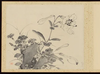Verfeinerte Eleganz in den vier Jahreszeiten, Album der Blumenmalereien