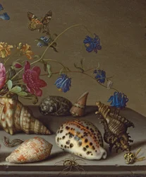 Blumen, Muscheln und Insekten auf einem Steinsims