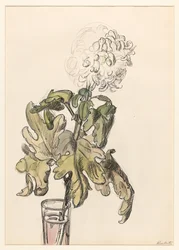 Blühende Chrysantheme in einer Vase