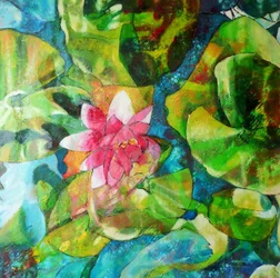 Rosa Seerosen-Teich