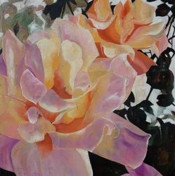 Rosa und orangefarbene Rosen