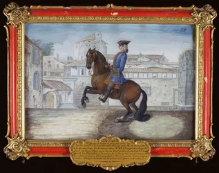 Nr. 35 Ein Barbary-Bay-Pferd der Spanischen Hofreitschule, das eine Dressurbewegung auf dem Markusplatz in Florenz ausführt