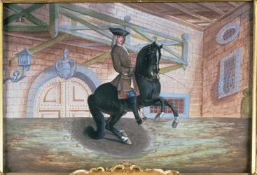 Nr. 36 Ein braun-bay-Pferd der Spanischen Hofreitschule, das eine Pirouette nahe dem Boden ausführt