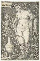 Flora