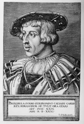 Porträt von Ferdinand I. von Habsburg, 1531