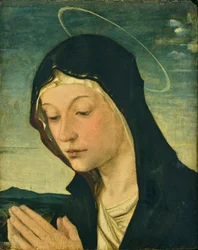 Kopf und Hände einer anbetenden Madonna (Fragment), ca. 1477-78