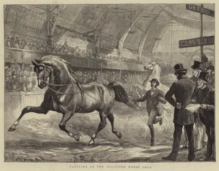 Trabrennen auf der Islington Horse Show