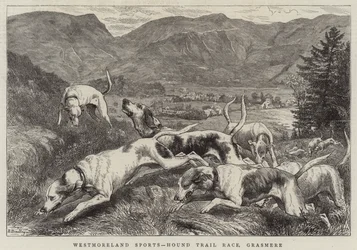 Westmoreland Sports, Hunderennen, Grasmere