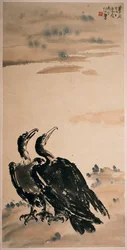 Zwei Kormorane