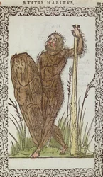 Der wilde Mann, Illustration aus Omnium Fere Gentium nostraeque aetatis Nationum Habitus et Effigies von Jean Sluperji, Antwerpen, 1572