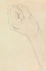 Studie einer Hand, zur Faust geballt