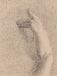 Studie einer Hand (recto)