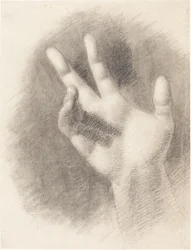Studie einer rechten Hand (recto)