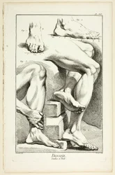 Design: Beine und Füße, aus Encyclopédie