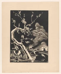 Baum mit Reihern